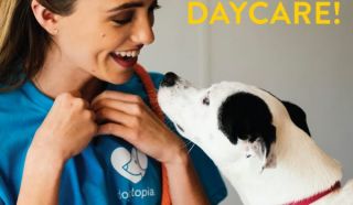 dog day care san diego Dogtopia of Miramar