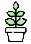 plant icon