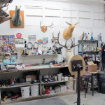 taxidermist san jose Mounts Unlimited Taxidermy