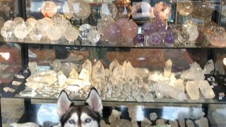 metaphysical supply store san jose Moonstone Metaphysical