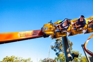 roller coaster san jose Flight Deck