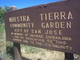community garden san jose Nuestra Tierra Community Gardern