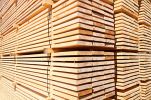logging contractor san jose Coastal Companies