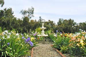 horse riding field san jose Prevost Ranch and Gardens