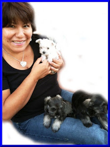 pet sitter san jose Lovable Pet Sitter & Dog Walker