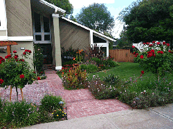 Landscaping in San Jose with complex irrigation needs