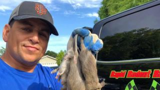 bird control service san jose Rapid Rodent Removal