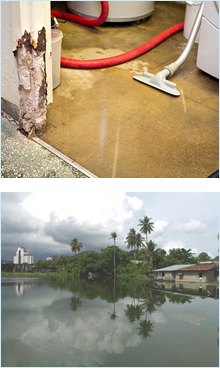 water damage restoration service san jose Restoration Specialists