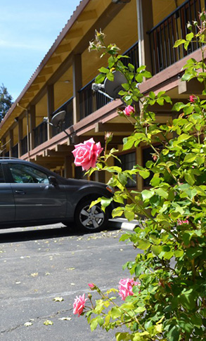 motel san jose Valley Inn San Jose