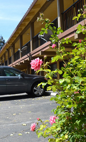 motel san jose Valley Inn San Jose