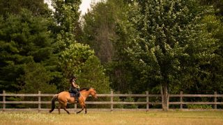 horse trainer san jose Jaxvale Horsemanship