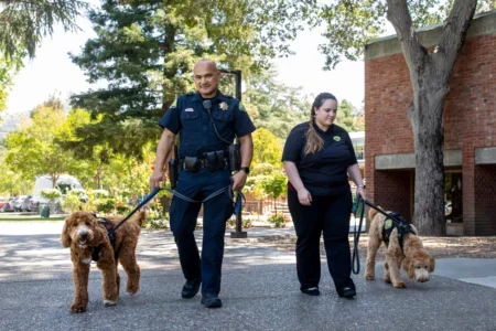 Los Gatos police introduce therapy dogs JJ and Gary