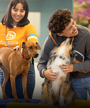 pet boarding service san jose Dogtopia of San Jose