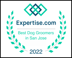 pet boarding service san jose Springdale Kennels