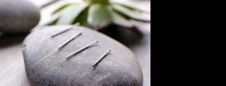 acupuncturist san jose Numo Acupuncture