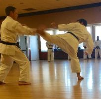 martial arts club san jose Uechi-Ryu Karate Club