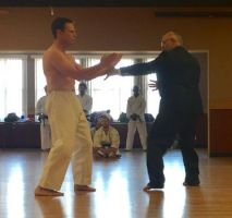 martial arts club san jose Uechi-Ryu Karate Club
