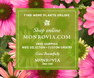 Buy Plants Online