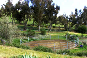 horse rental service san jose Prevost Ranch and Gardens