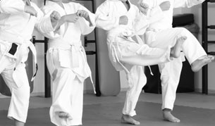 karate club santa ana Shito Ryu Karate Do Genbu Kai