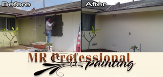 painter santa ana MR Professional Painting