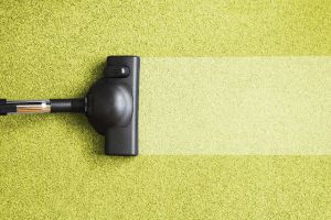 carpet cleaning service santa clara Pro Clean Carpet Care