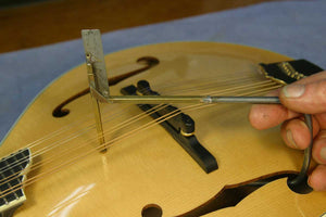 stringed instrument maker santa clara Gryphon Stringed Instruments