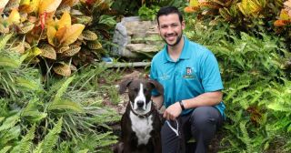 dog trainer santa clara Bark Busters Home Dog Training Santa Clara County West