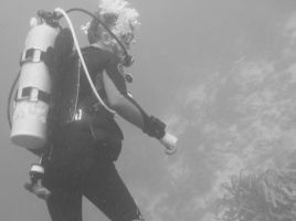 scuba instructor santa clara Cold Water Dive