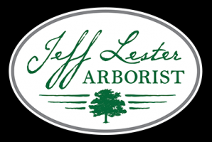 arborist and tree surgeon santa rosa Jeff Lester Certified Arborist