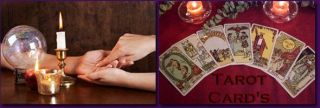 astrologer santa rosa Psychic Palm Card Reader