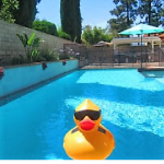 pool cleaning service santa rosa Pool Chemical Service