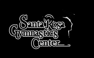 gymnastics center santa rosa santa rosa gymnastics inc