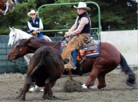 horse breeder santa rosa Chris Brown Cutting Horses