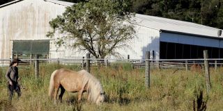 equestrian club santa rosa Hunter Lane Equestrian Center