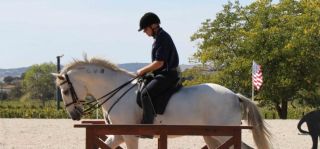 Sport of Working Equitation