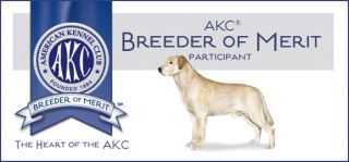 dog breeder santa rosa Kentfield Kennels Labrador Retrievers