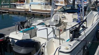 outboard motor store santa rosa Buck's Mobile Marine