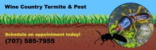 bird control service santa rosa Wine Country Termite & Pest