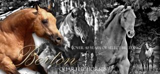 horse breeder santa rosa Berton Quarter Horses