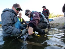 conservation department stockton Lodi Fish and Wildlife Office, US Fish and Wildlife Service