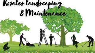 lawn care service stockton Rosales Landscaping & Maintenance