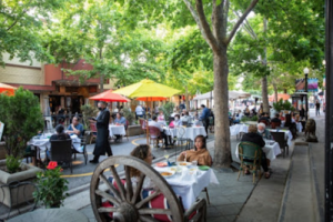 Downtown Mountain View is pedestrian-only, thanks to the overwhelming public enthusiasm for it. Enjoy people-watching, car-free, and outdoor dining at over 40 restaurants and coffee shops.