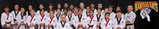 taekwondo school sunnyvale Tiger Martial Arts