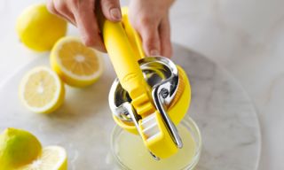 Farmer's Market - Citrus Tools Sunday, July 2, 2023 11:00 AM Take advantage of summer citrus with our expert tools, and make a simple, delicious lemon curd.