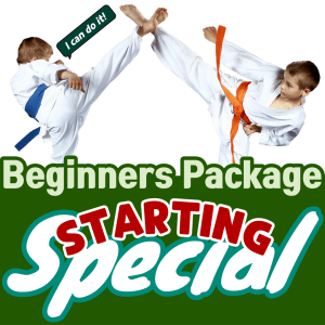 Learn traditional Taekwondo as a modern sport with Kukkiwon certified Taekwondo masters!