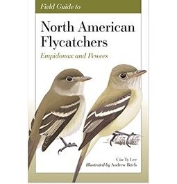 Flycatchers of North America