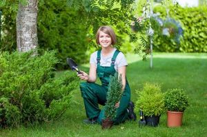 Gardening Service