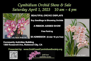 orchid grower sunnyvale Gold Coast Cymbidium Society, Inc.