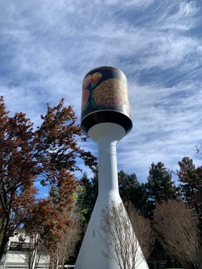 cultural landmark sunnyvale Libby's Water Tower